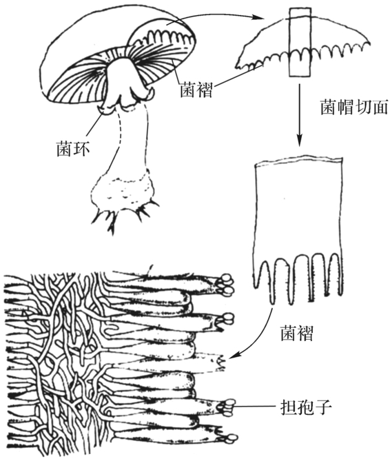 img138