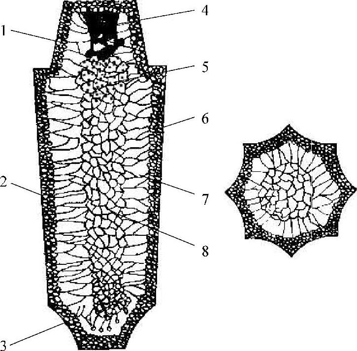 978-7-111-32236-8-Chapter03-1.jpg