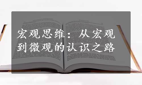 宏观思维：从宏观到微观的认识之路