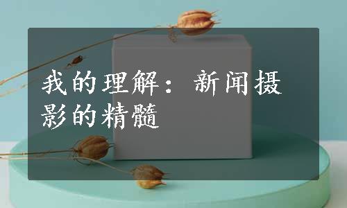 我的理解：新闻摄影的精髓