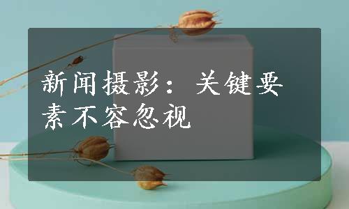 新闻摄影：关键要素不容忽视