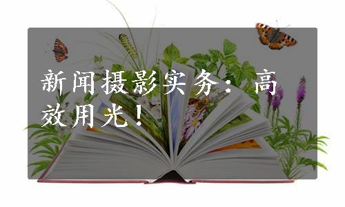 新闻摄影实务：高效用光！