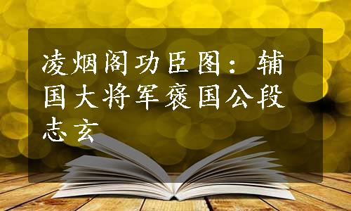 凌烟阁功臣图：辅国大将军褒国公段志玄