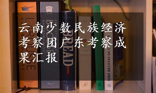 云南少数民族经济考察团广东考察成果汇报