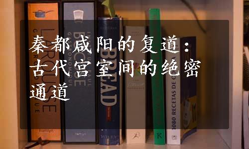 秦都咸阳的复道：古代宫室间的绝密通道