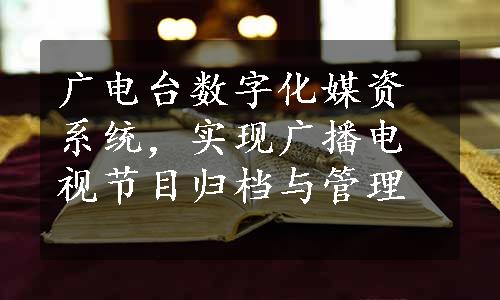 广电台数字化媒资系统，实现广播电视节目归档与管理