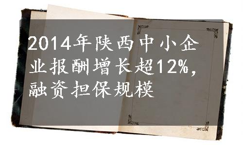 2014年陕西中小企业报酬增长超12%，融资担保规模