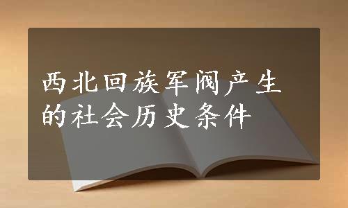 西北回族军阀产生的社会历史条件