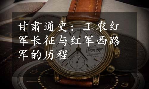 甘肃通史：工农红军长征与红军西路军的历程