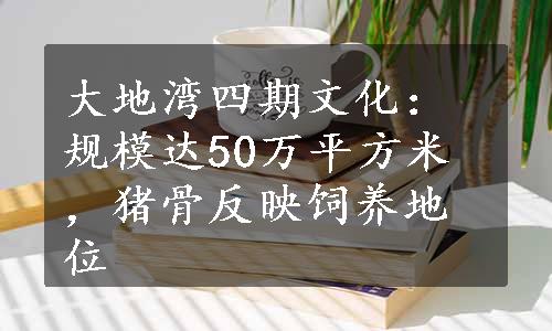 大地湾四期文化：规模达50万平方米，猪骨反映饲养地位