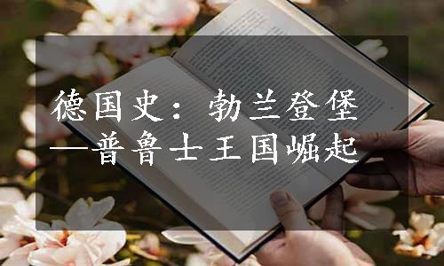 德国史：勃兰登堡—普鲁士王国崛起