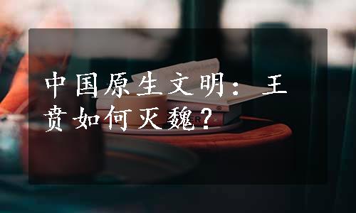 中国原生文明：王贲如何灭魏？