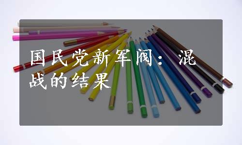 国民党新军阀：混战的结果