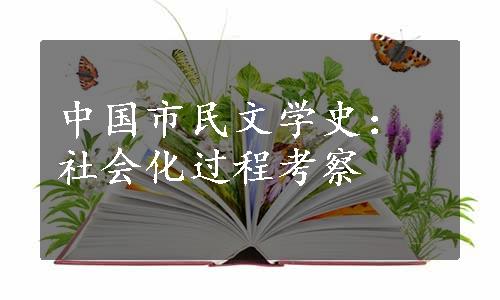 中国市民文学史：社会化过程考察