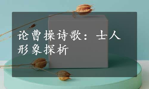 论曹操诗歌：士人形象探析