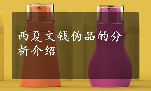 西夏文钱伪品的分析介绍