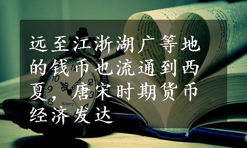 远至江浙湖广等地的钱币也流通到西夏，唐宋时期货币经济发达