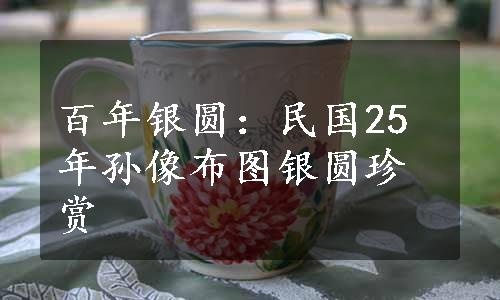 百年银圆：民国25年孙像布图银圆珍赏