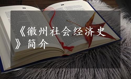 《徽州社会经济史》简介