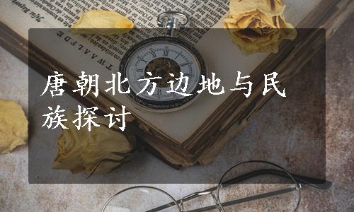 唐朝北方边地与民族探讨