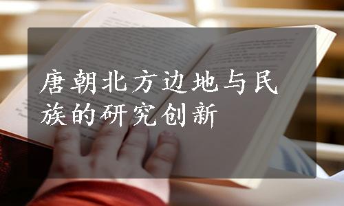 唐朝北方边地与民族的研究创新