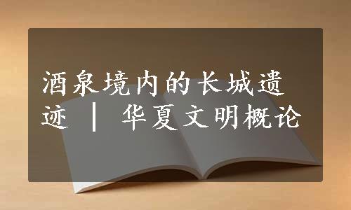 酒泉境内的长城遗迹 | 华夏文明概论