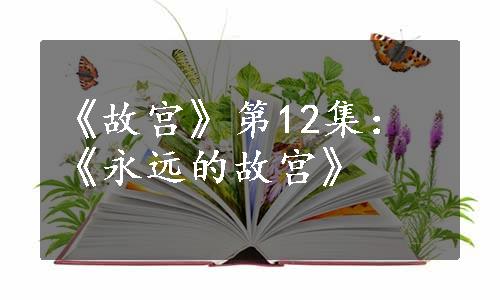 《故宫》第12集：《永远的故宫》