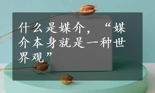 什么是媒介，“媒介本身就是一种世界观”