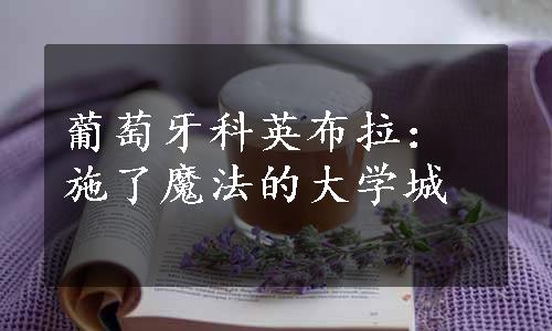 葡萄牙科英布拉：施了魔法的大学城