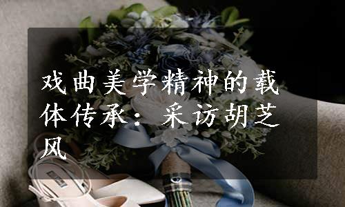 戏曲美学精神的载体传承：采访胡芝风