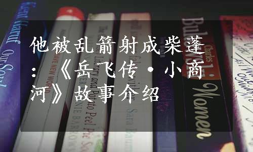 他被乱箭射成柴蓬：《岳飞传·小商河》故事介绍