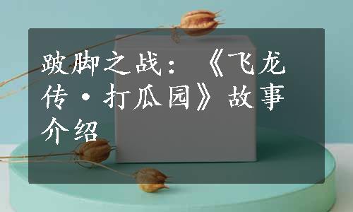 跛脚之战：《飞龙传·打瓜园》故事介绍