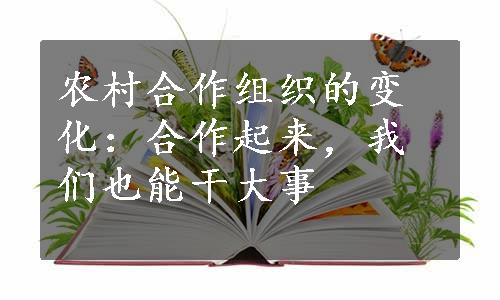 农村合作组织的变化：合作起来，我们也能干大事