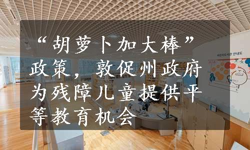 “胡萝卜加大棒”政策，敦促州政府为残障儿童提供平等教育机会