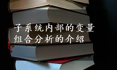 子系统内部的变量组合分析的介绍