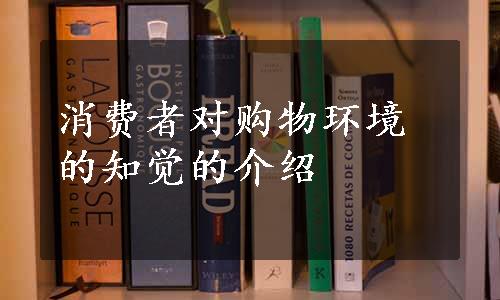 消费者对购物环境的知觉的介绍