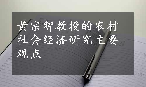 黄宗智教授的农村社会经济研究主要观点