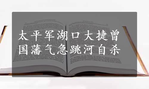 太平军湖口大捷曾国藩气急跳河自杀