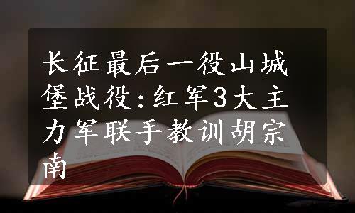 长征最后一役山城堡战役:红军3大主力军联手教训胡宗南