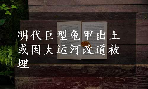 明代巨型龟甲出土或因大运河改道被埋