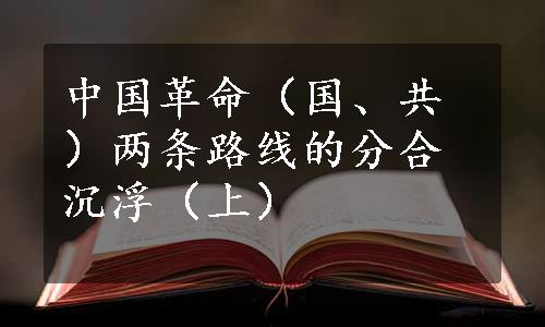 中国革命（国、共）两条路线的分合沉浮（上）