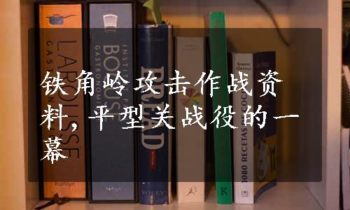 铁角岭攻击作战资料,平型关战役的一幕