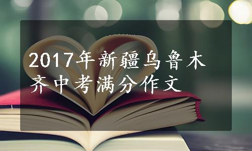 2017年新疆乌鲁木齐中考满分作文