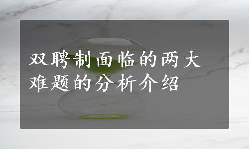 双聘制面临的两大难题的分析介绍