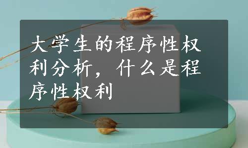 大学生的程序性权利分析，什么是程序性权利