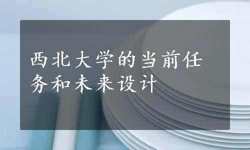 西北大学的当前任务和未来设计