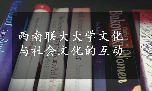 西南联大大学文化与社会文化的互动