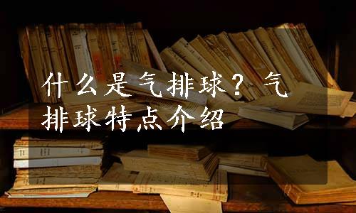 什么是气排球？气排球特点介绍