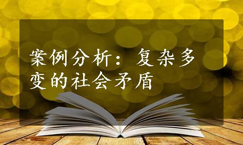 案例分析：复杂多变的社会矛盾