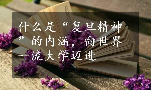 什么是“复旦精神”的内涵，向世界一流大学迈进